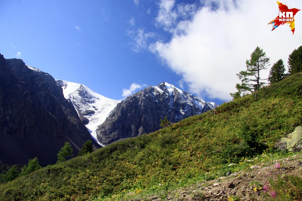 Создание трансграничного биосферного резервата "Большой Алтай" одобрили в ЮНЕСКО