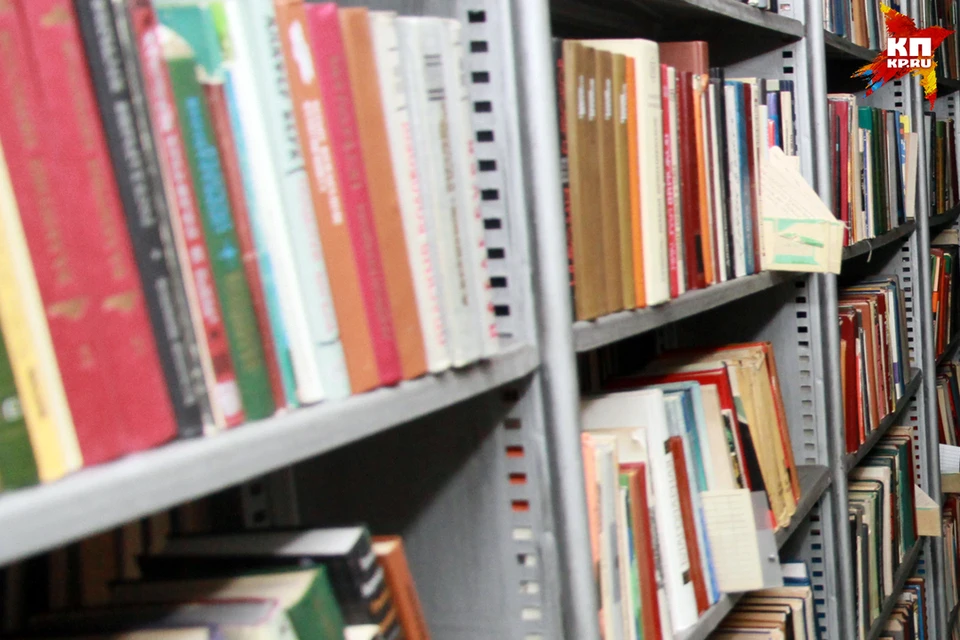 Ликвидацией библиотек в Бийске заинтересовались активисты ОНФ