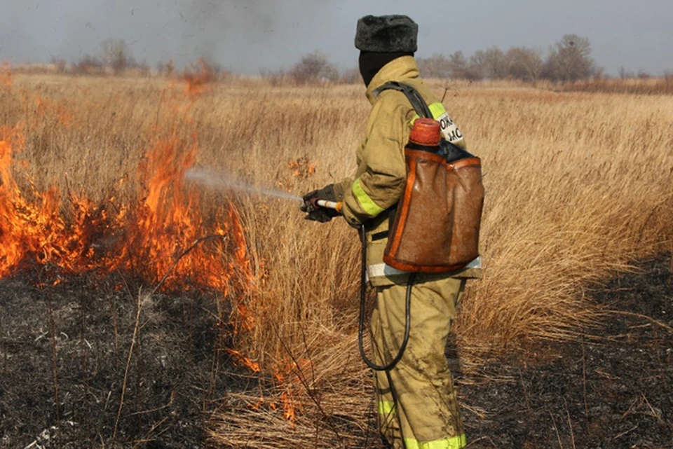 В Хабаровском крае прогнозируется рекордное число лесных пожаров