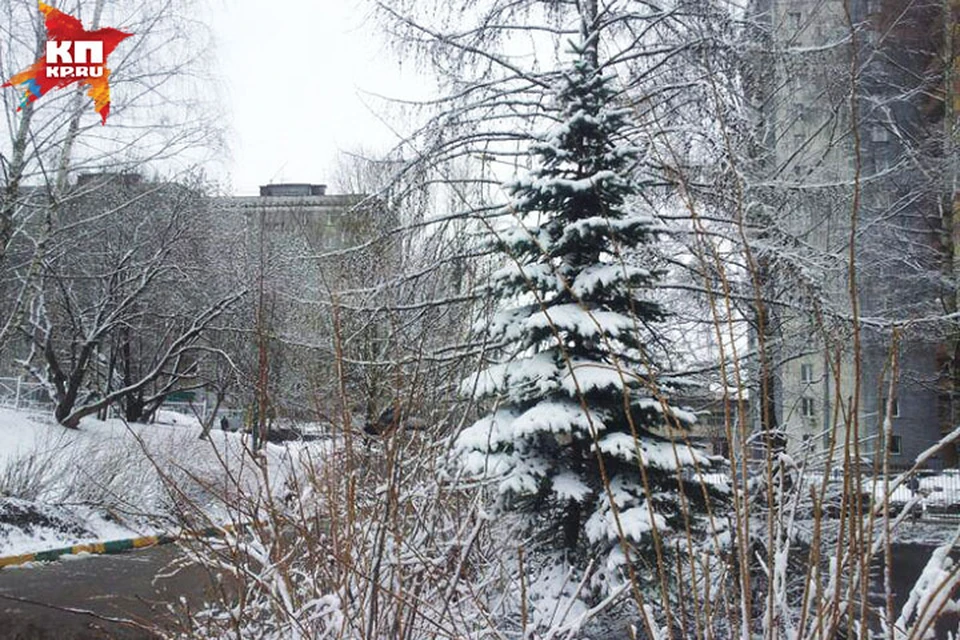 В Нижний Новгород вернулась зима.
