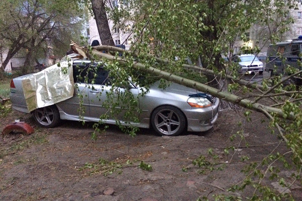 Ураган в Барнауле