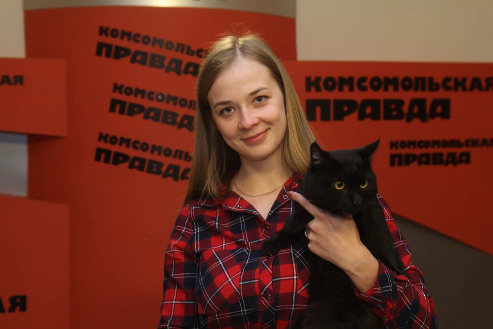 Коты победили собак в фотоконкурсе «Комсомольской правды» в Иркутске