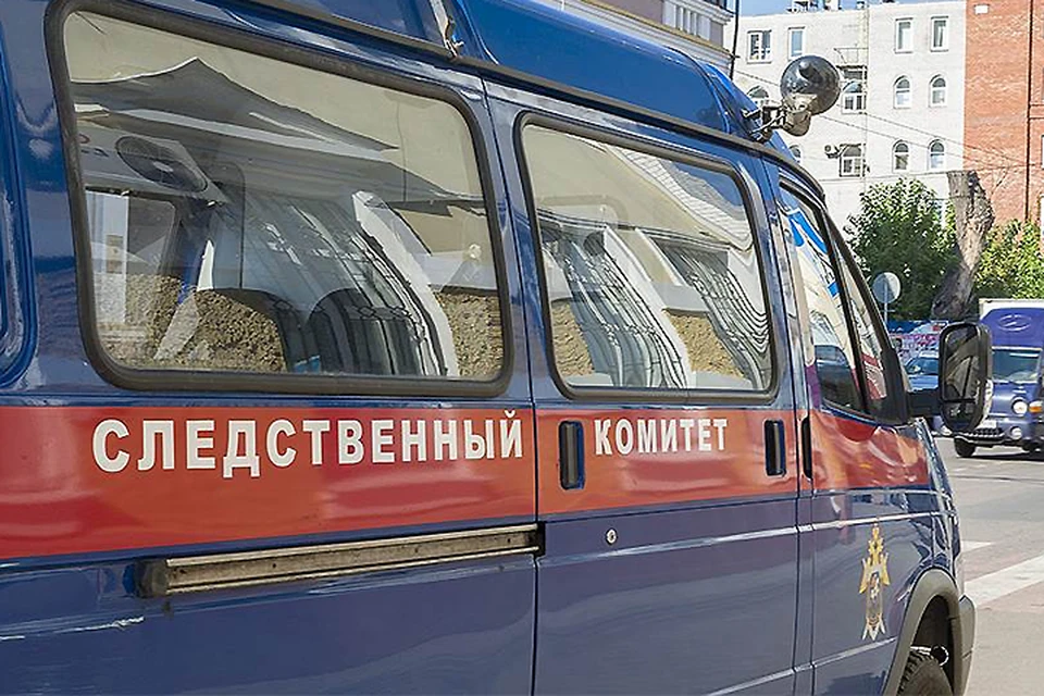 В офисе известной бизнес-вумен, гражданки Финляндии Элизабет Елены фон Мессинг в Санкт-Петербурге проходят обыски. Фото: с сайта kommersant.ru