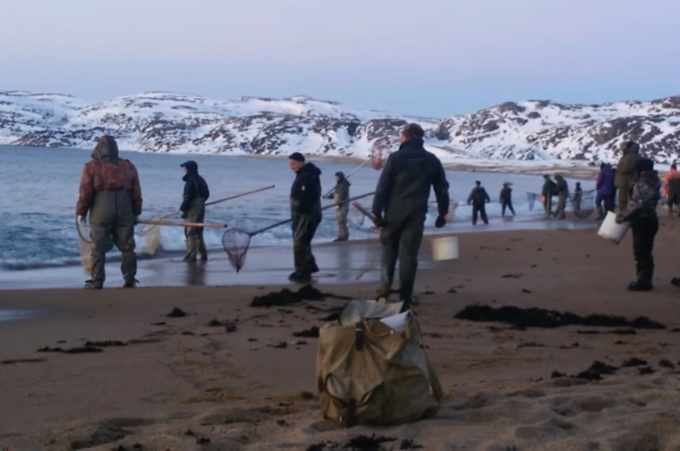 На пляжах Териберки столпотворение. Рыбаки со всей области и даже других регионов едут сюда за легкой рыбой. Фото: Александр Баканов (скриншот видео)