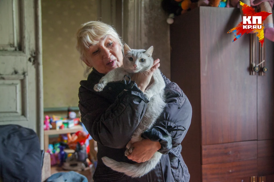 Уфимская кошка Белка спасла из огня шестерых человек