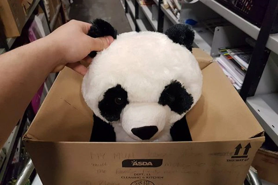 Панда была на полке одна, поэтому мальчик хотел убедиться, что её не купят перед ними