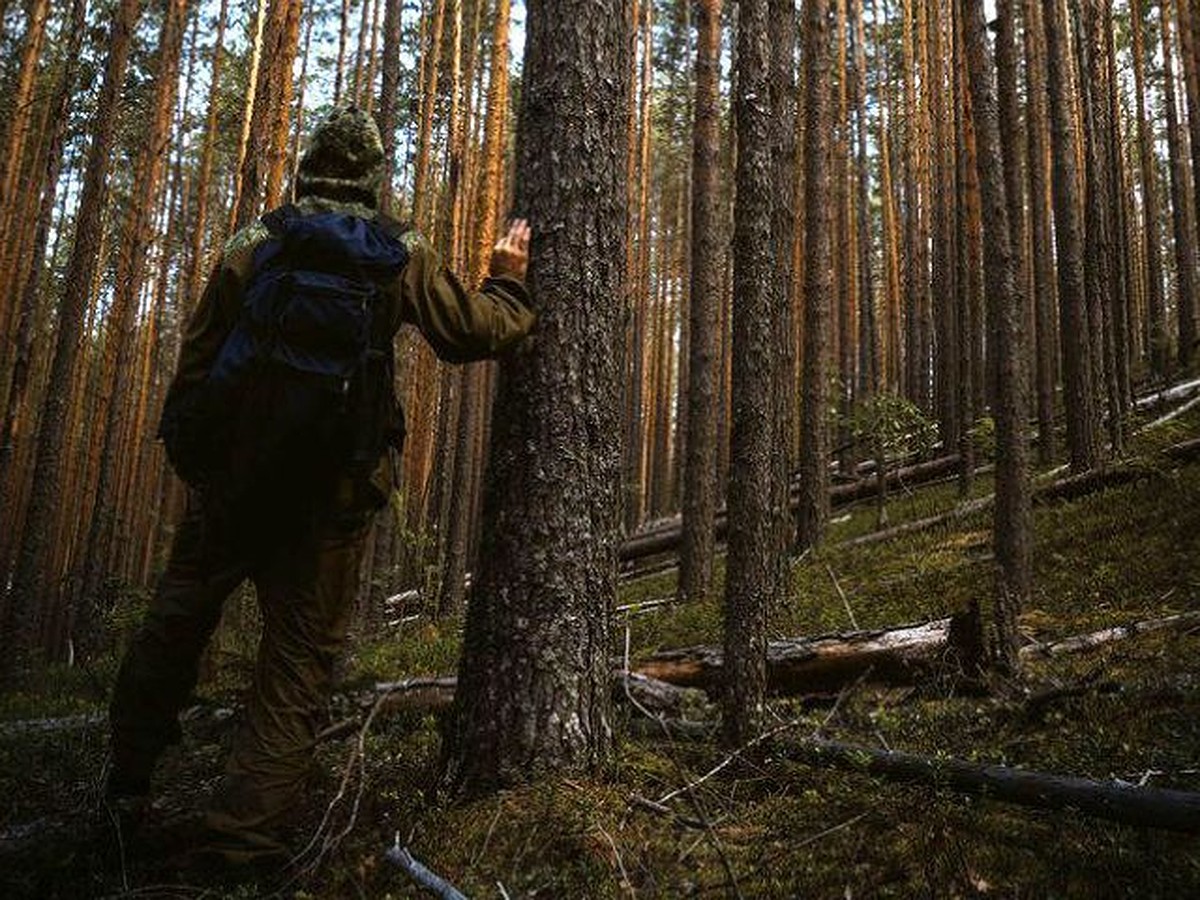 Пожилые супруги заблудились на Витебщине: «На пятый день в лесу муж умер, а  на шестой я вышла к людям» - KP.RU