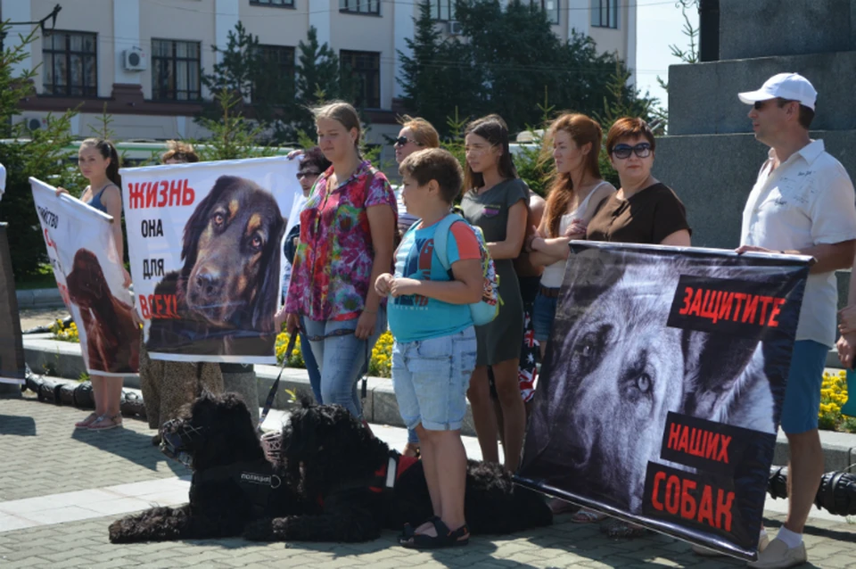 Зоозащитники провели митинг в преддверии оглашения приговора по делу хабаровских живодерок