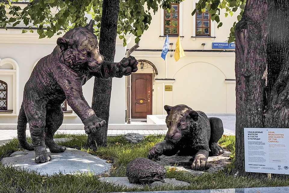 Памятник амурским тигрятам Фото: РГО