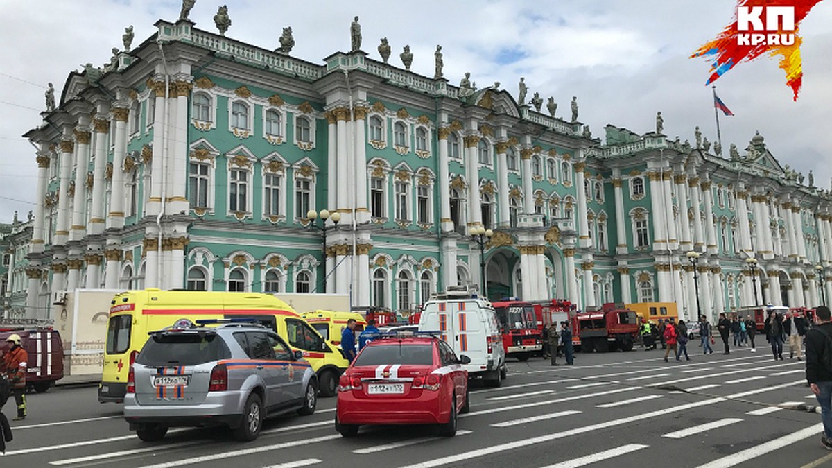 При пожаре в Зимнем дворце погибло минимум пять эрмитажных котов - KP.RU