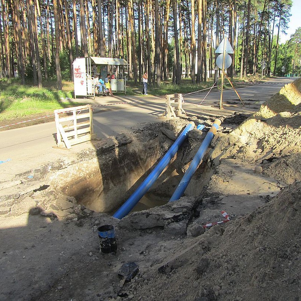 Единственную трассу в Пригородном лесу Тамбова исключили из перечня дорог  