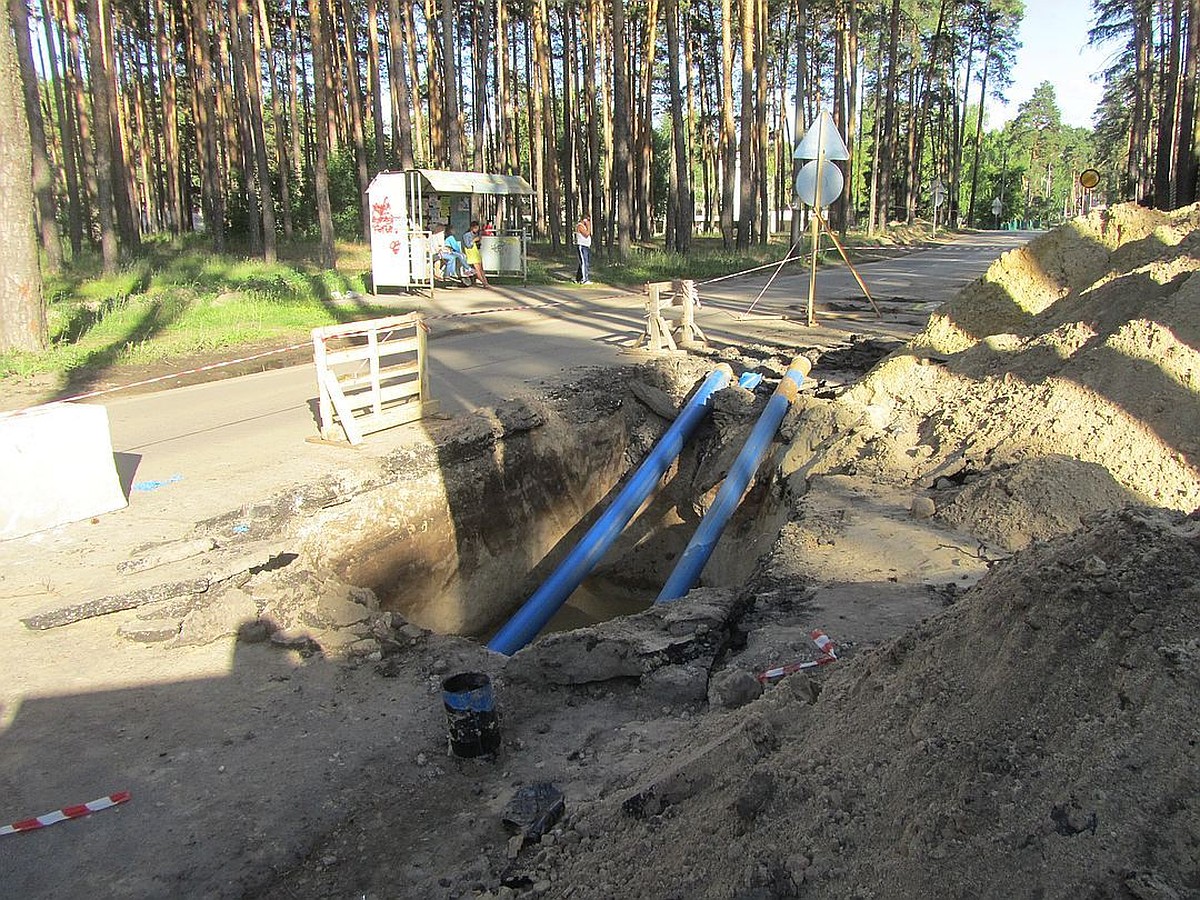 Единственную трассу в Пригородном лесу Тамбова исключили из перечня дорог  