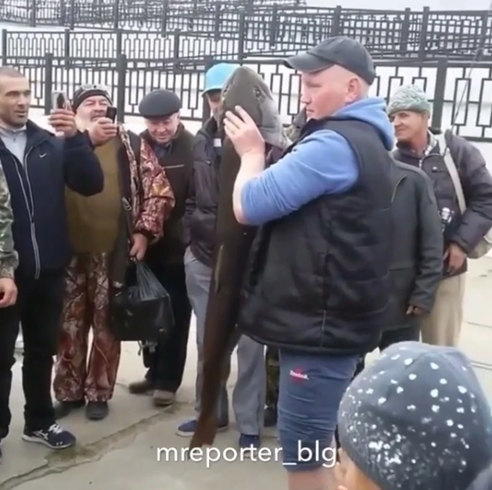 Фотографии и видео за считанные минуты заполонили социальные сети и мессенджеры.