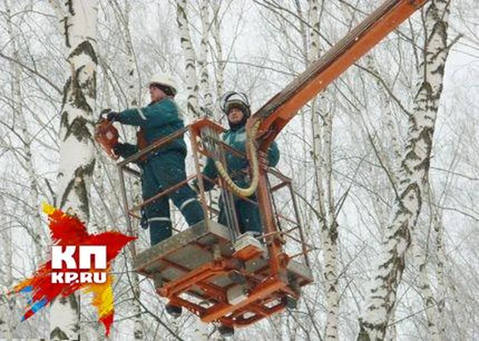 Подготовка электросетей к осенне-зимнему сезону