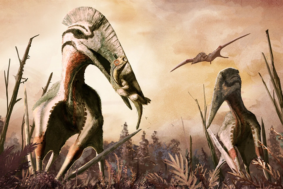 Птерозавры были хищниками и даже охотились на мелких сухопутных динозавров