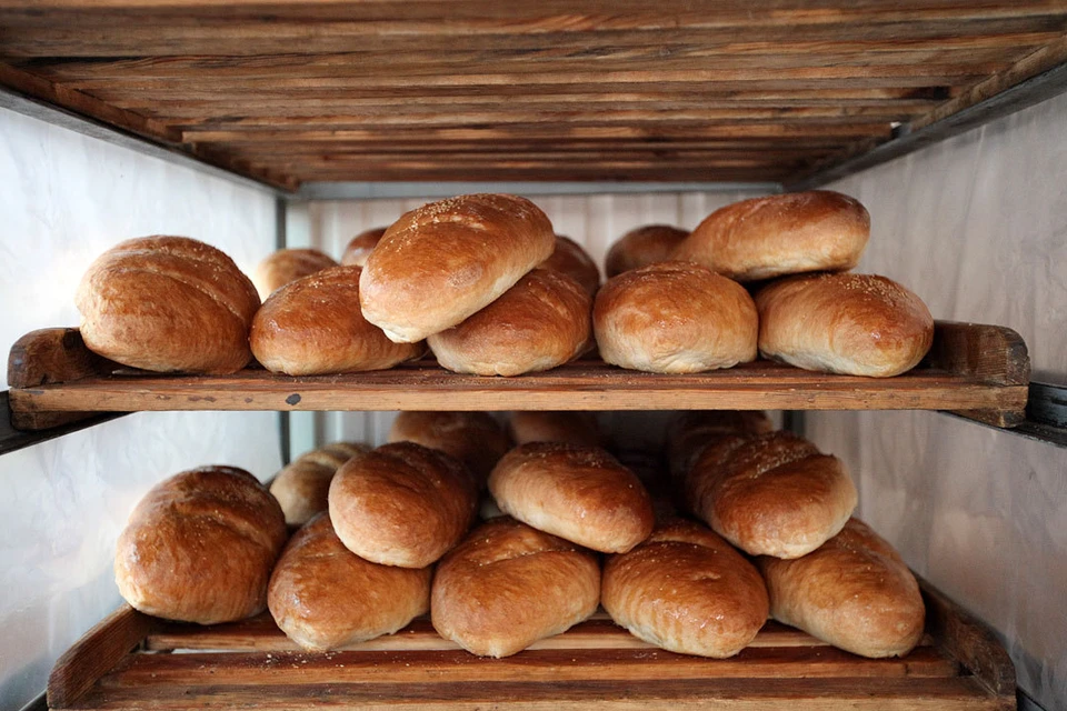 Хлеб на Северном Кавказе оказался хорошего качества
