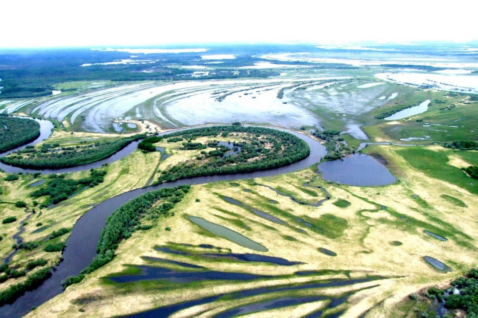 Большое Васюганское болото включено в предварительный список объектов Всемирного природного наследия ЮНЕСКО. Фото: ecoyear.ru