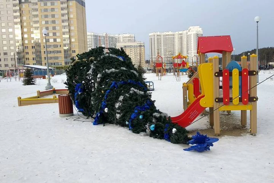 Новогодние каникулы закончились падением елки Фото: Игорь Черепанов