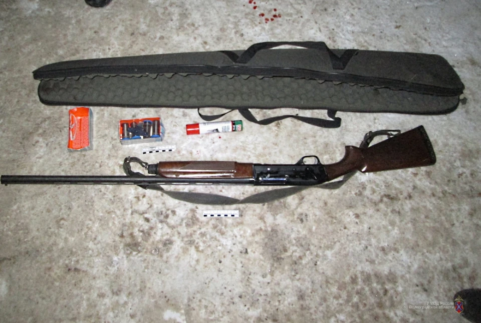 В салоне внедорожника обнаружили ружье, патроны и тушу убитого кабана