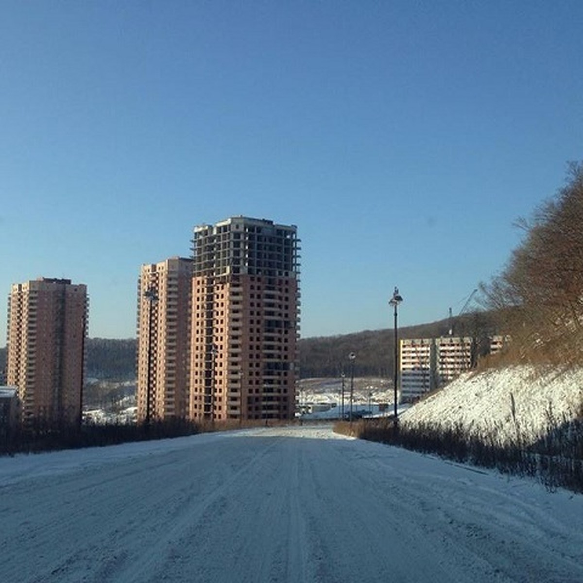 В Снеговой Пади построят три высотки, вырубив деревья - KP.RU