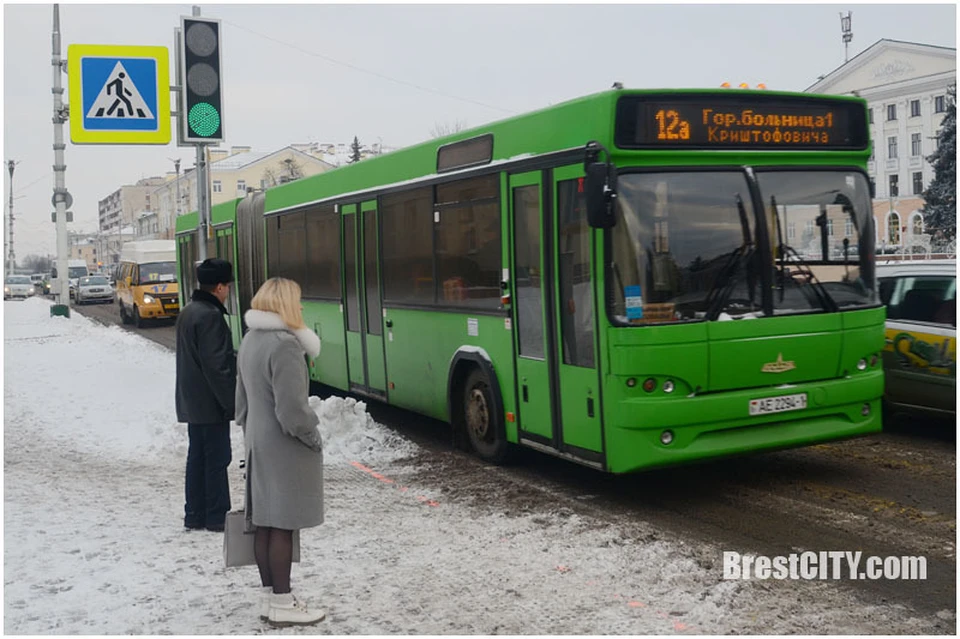 Когда бай брест автобусы. Автобус Брест.