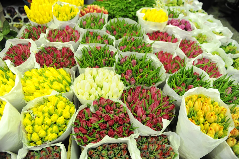 Сколько стоят тюльпаны на рынке. Цветочный рынок. Тюльпаны на рынке. Рынок цветов. Рижский рынок тюльпаны.
