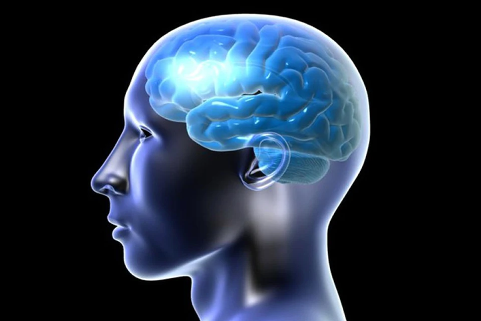 Согласно результатам тестирования, устройство повышает способность мозга к отсроченному припоминанию на 15%