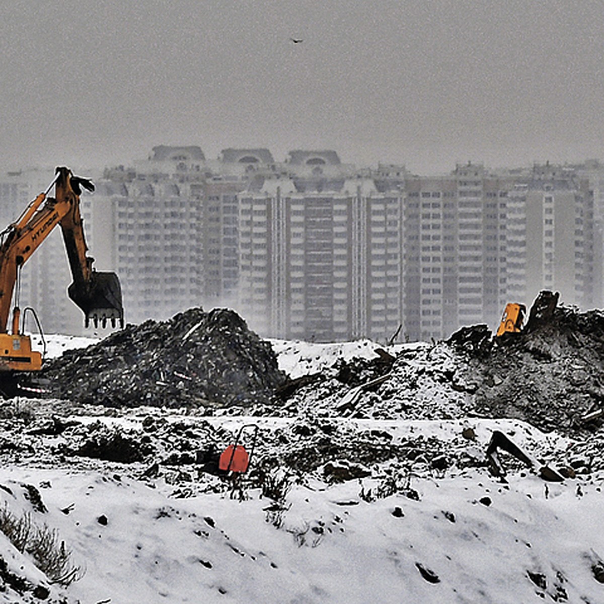 Главный эколог Москвы Антон Кульбачевский: Отказываться от реагентов не  будем, а запах с полигона в Кучине исчезнет этой весной - KP.RU