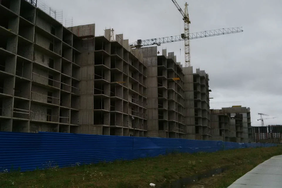 Так выглядели многоэтажки за месяц до официального срока сдачи. ФОТО: https://vk.com/lenperspektivamurino.