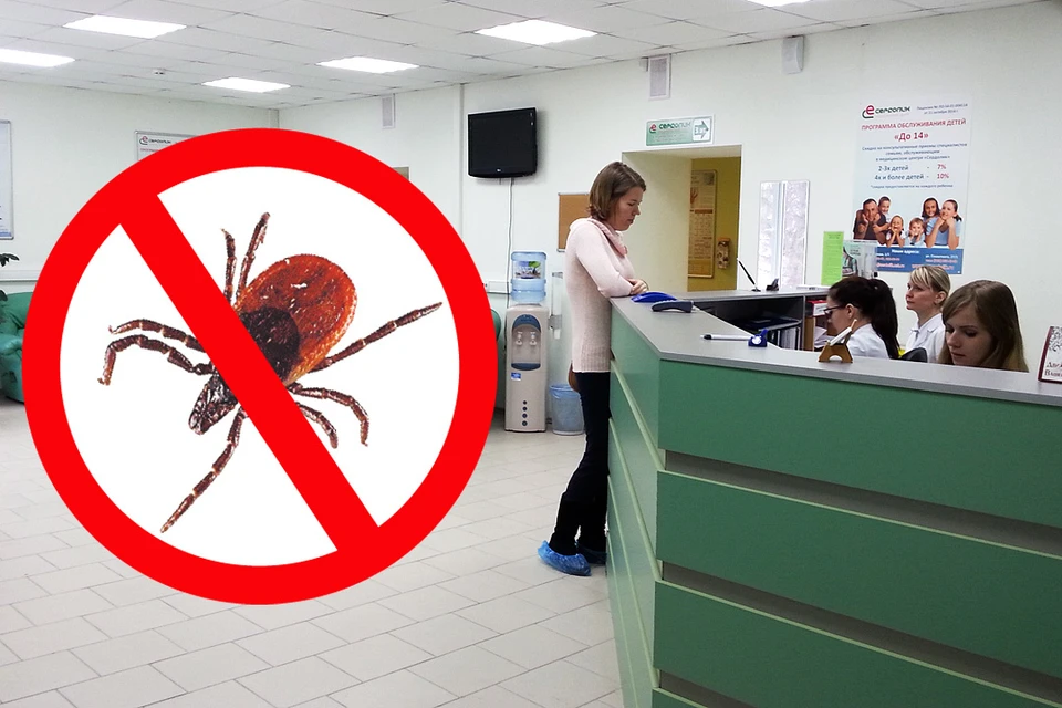 Защита от клещевого энцефалита – вакцинация, и о ней знают все в медицинском центре «Сердолик».