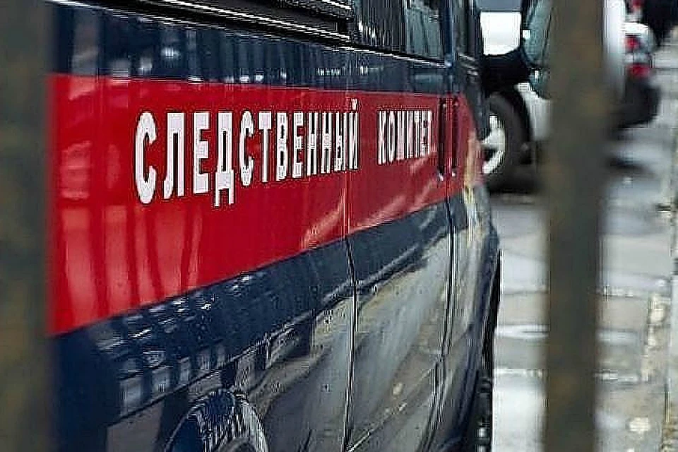Депутату грозит срок сразу по двум уголовным статьям