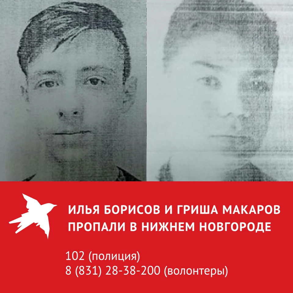В Нижнем Новгороде разыскивают без вести пропавших 16-летнего Илью Борисова и 14-летнего Гришу Макарова