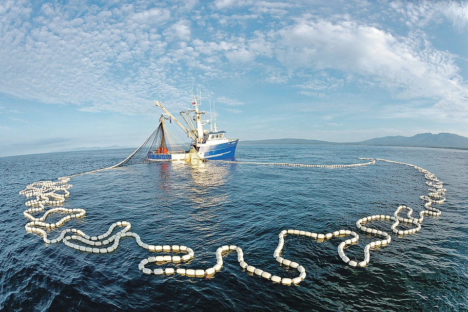 Сегодня судьба рыболовной отрасли неводом по воде писана. Фото: varpe.org
