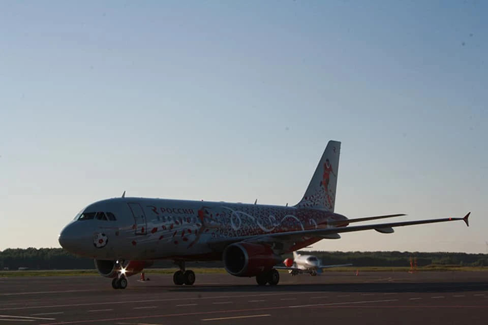 Сборная Швеции прилетела на Airbus A319. Фото: пресс-служба аэропорта Стригино