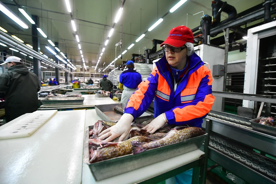 Конкурс «Лучший рыбный продукт» – это открытое соревнование среди российских изготовителей пищевой рыбной продукции.