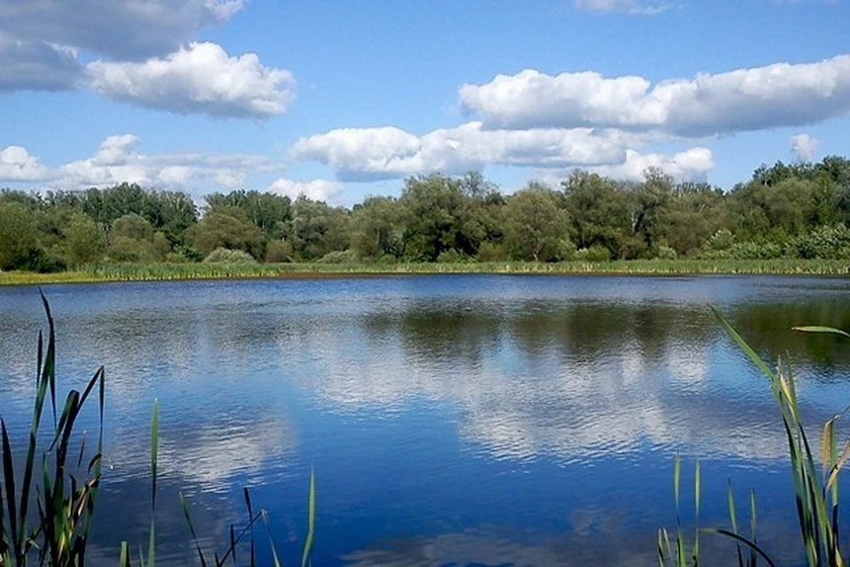 Липецк село троицкое. Липецкая речка Липецк. Троицкий речка Тульской области. Река в городе Липецк. Река центр Липецка.