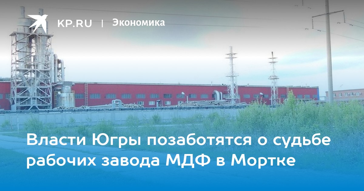 Завод мдф в мортке