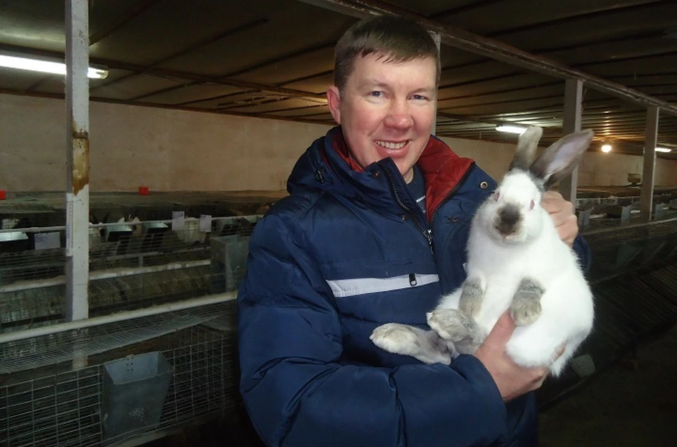 Свой бизнес: кролиководческая ферма