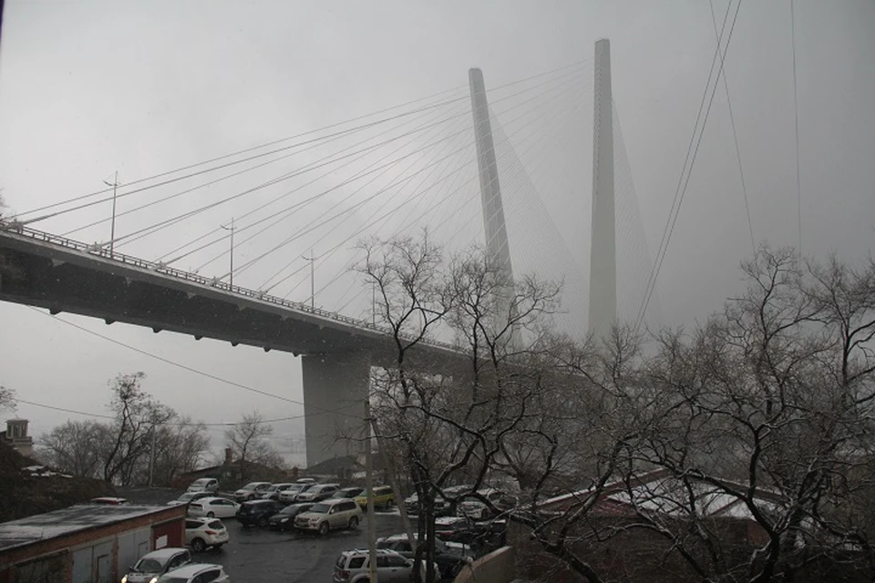В понедельник во Владивостоке прогнозируют дождь при сильном ветре