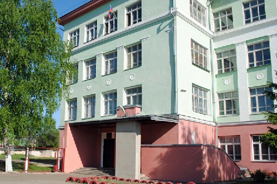 Во время драки в школе Нижегородской области ребенку отбили селезенку. Фото: Google Карты