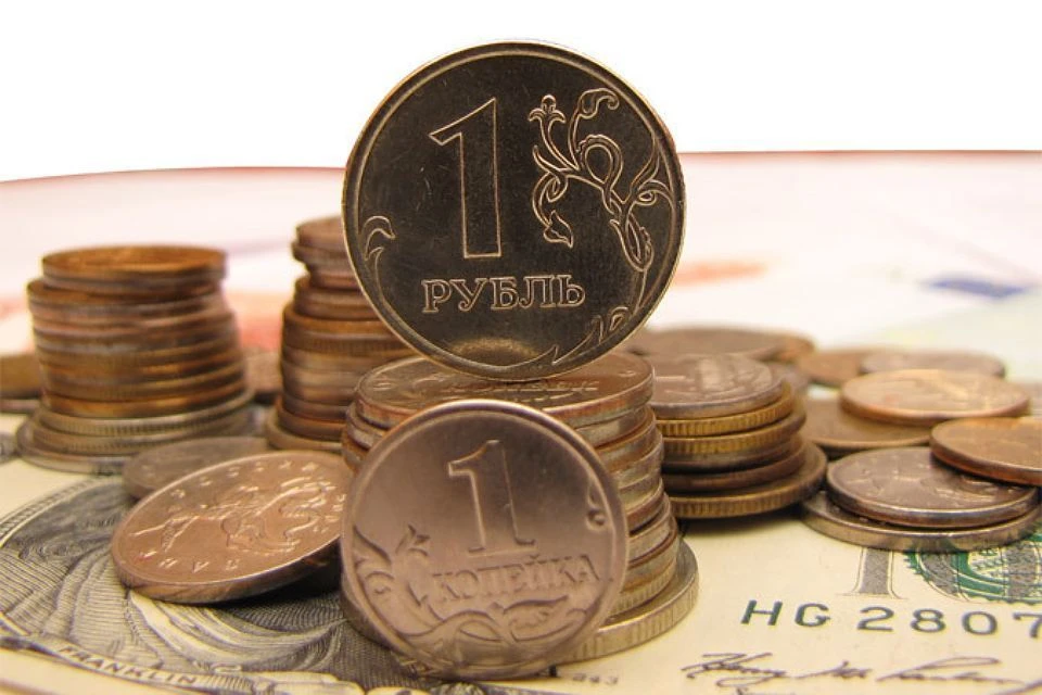 29 миллиардов из федеральной казны: В Нижегородской области приняли бюджет на 2019 год.