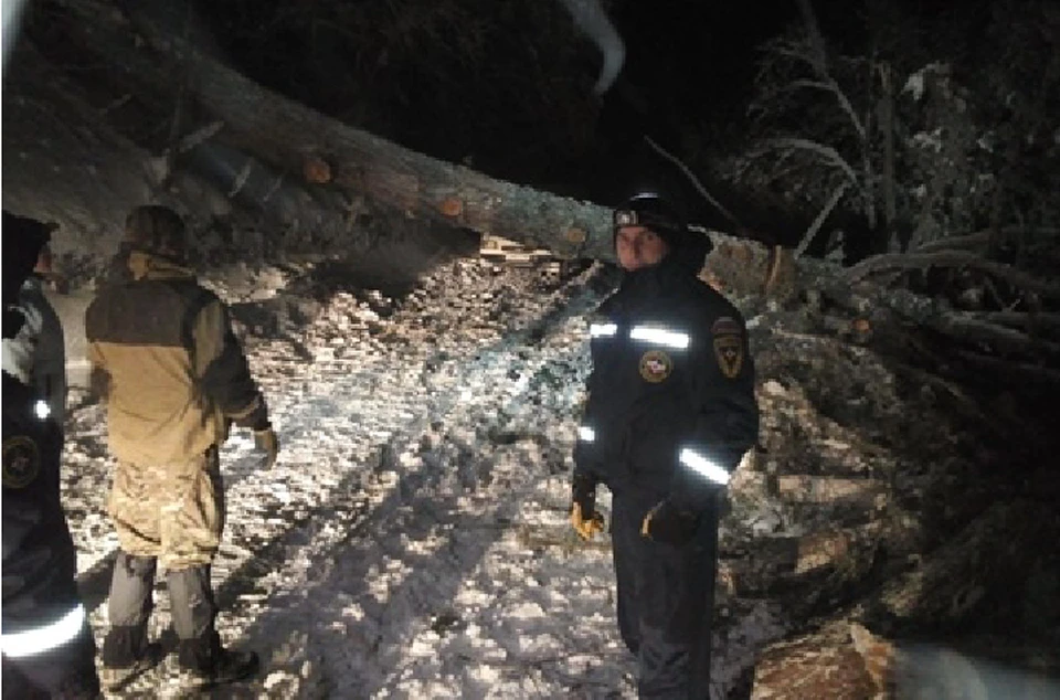 Дорогу автомобилистам перекрыло упавшее дерево. Фото: ГУ МЧС по Крыму