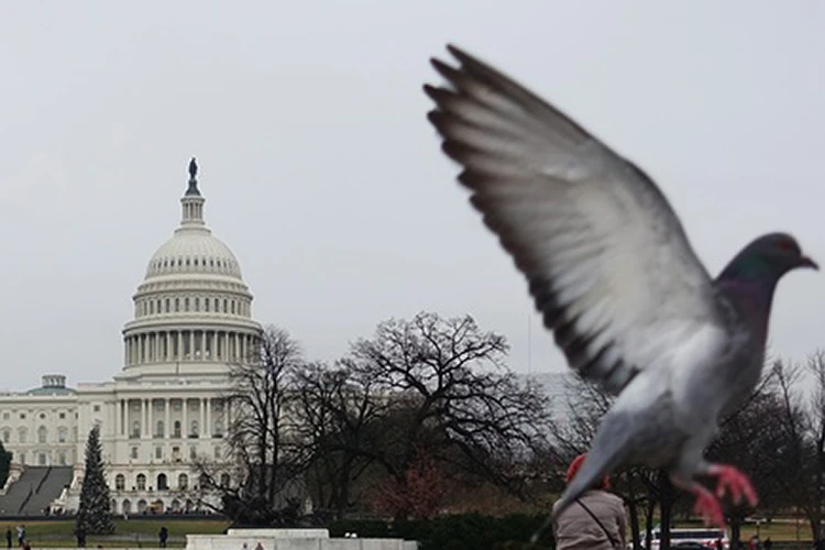 Сенат США не стал рассматривать законопроект по санкциям против России за помощь Сирии