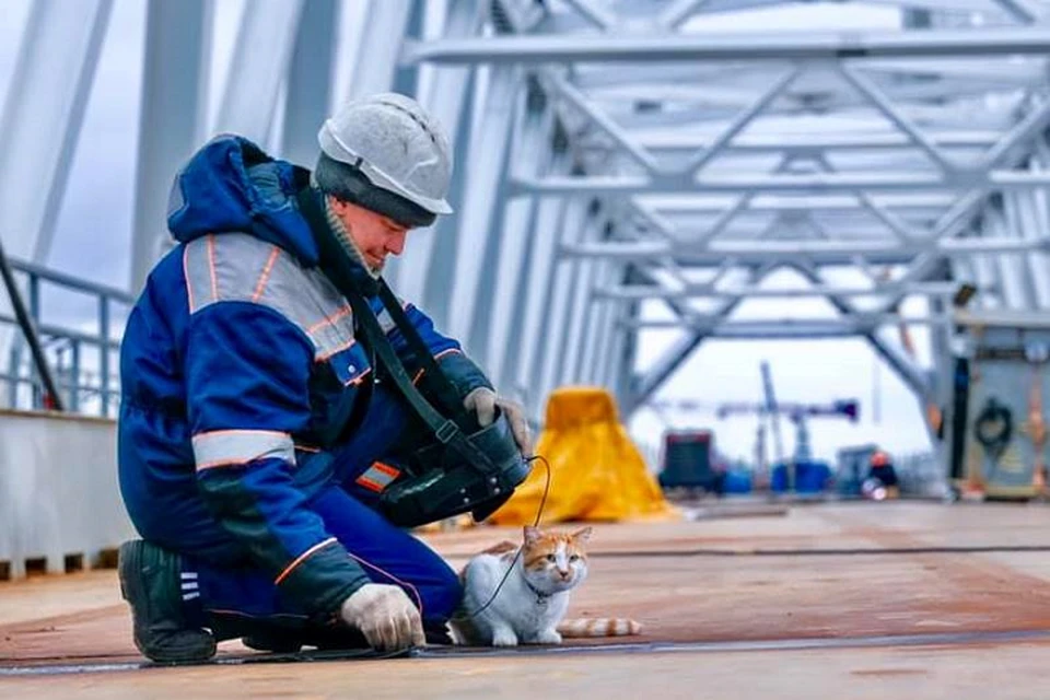 Кот помогает дефектоскопистам проверять швы на железнодорожной части моста через Керченский залив. Фото: Кот Моста/VK