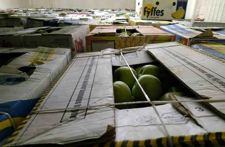Яблоки наши фермеры пытаются продать посредством соцсетей. Ведь в Казахстан их не пускают