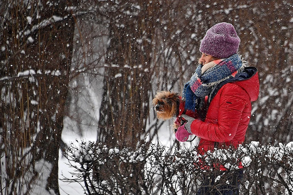 Погода на выходные в Нижнем Новгороде на 2-3 марта 2019 года: зима вернулась