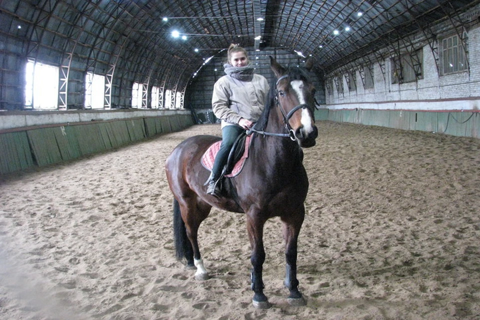 Новая лошадь Евы Несиной вестфальской породы, она весит более чем полтонны