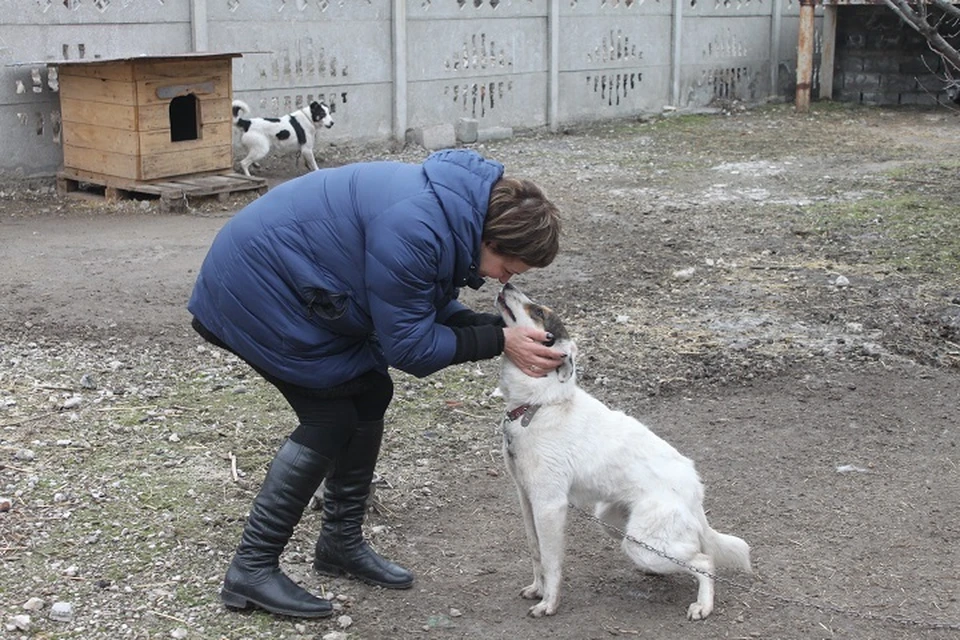 Ирина Волик любит каждого животного
