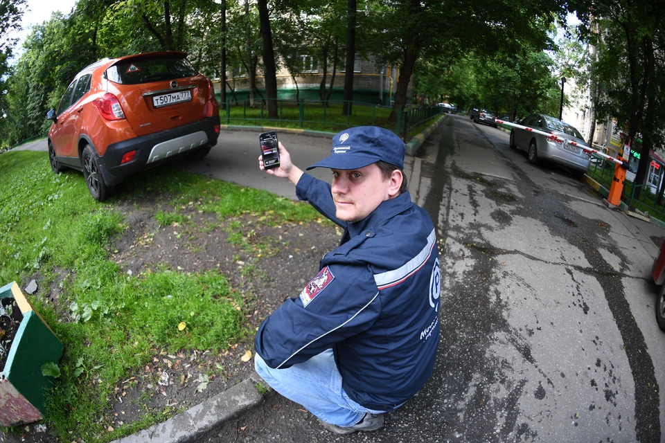 В Москве уже несколько лет активно штрафуют за парковку на территориях, занятых зелеными насаждениями.