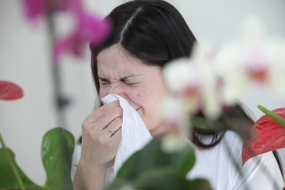 Около 4% жителей Владимира страдают от сезонной аллергии